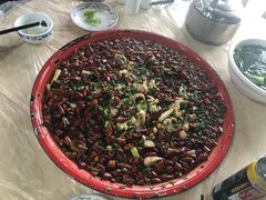 -东吴霸王兔(松青路店)