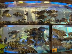 -海都六福酒家(世博广场店)