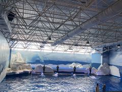 -秦皇岛乐岛海洋王国