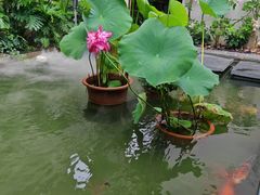-漫笙舍Manse·咖啡·民宿