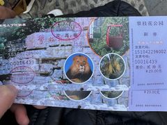 -攀枝花公园