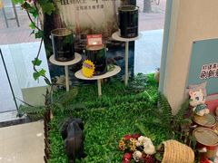 -立邦(益宝装饰城专卖店)