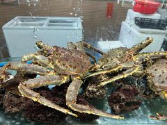 -寻味顺德·南记酒家·传统顺德菜·鱼生(广源路店)