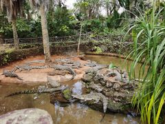 -海南热带野生动植物园