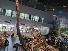 -自贡恐龙博物馆