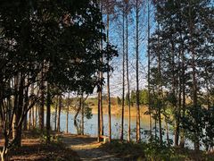 -梁鸿国家湿地公园