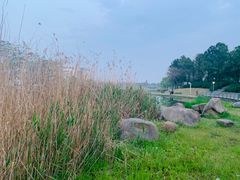 -美兰湖景区