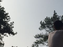 大金鹰公园-大金鹰园