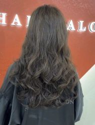 -FINE HAIR 烫染专业设计