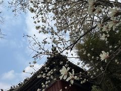 -潭柘寺景区
