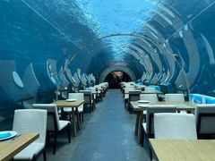 -海棠湾洲际-涛·海底餐厅·美人鱼·自助餐·海底隧道