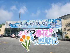 -丰台体育中心·游泳馆