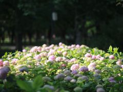 -渭滨公园