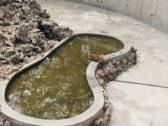 -攀枝花公园