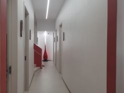 点击看大图 -WENDY·温迪皮肤管理