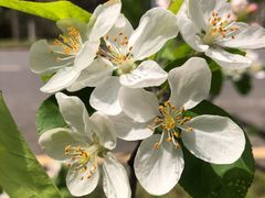 -南京金牛湖风景区