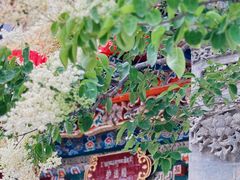 -塔尔寺