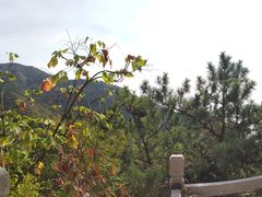 -青岛崂山太清宫