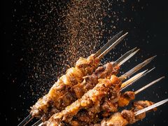 -小杨烤肉(高新店)