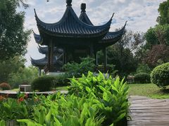 -苏州太湖湖滨国家湿地公园