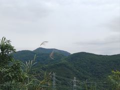 -阳台山森林公园