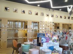 -袖虎猫馆(十亩地店)