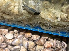 -港畔赶海蒸汽海鲜烧烤自助(仙螺岛店)