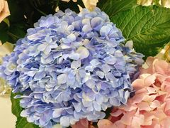 -森野花艺培训·企业团建活动沙龙