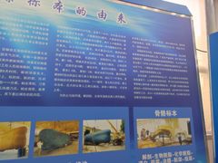 -上海海洋大学鱼文化博物馆(军工路校区)