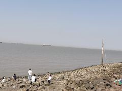 -上海滨江森林公园
