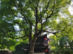 -惠山古镇·寄畅园