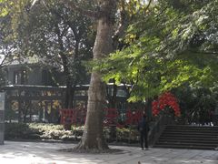 -西湖天地