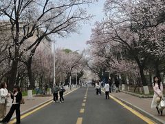 -吉林大学(南岭校区)