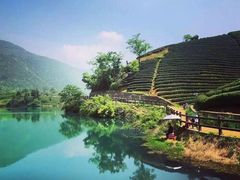 -午潮山国家森林公园