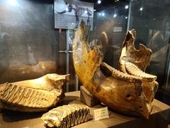 -丁村民俗博物馆