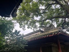 -天一阁博物院