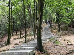 -火炉山森林公园