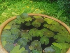 -深圳国际园林花卉博览园