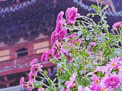 -盘门景区