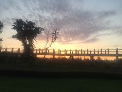 -蒲河岛湿地公园