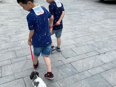 -上海崇明金茂凯悦酒店