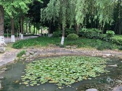 -苏州河梦清园环保主题公园