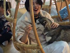 -Husky Go! 哈士奇体验馆·宠物咖啡厅狗咖