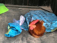 -清风小镇闯关东影视基地