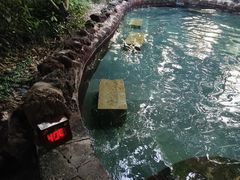 -苏州湾·王焰温泉
