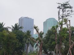 -万绿园