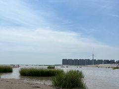 -启东黄金海滩景区