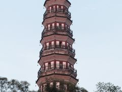 -顺峰山公园