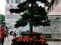-中山大学附属第三医院(天河院区)