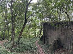 -上海佘山国家森林公园天马山园